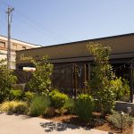 Commercial Painting Renata